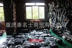汽車(chē)硅橡膠管陜汽增壓器膠管DZ93259535315